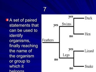 7
A set of paired
statements that
can be used to
identify
organisms,
finally reaching
the name of
the organism
or group to
which it
 