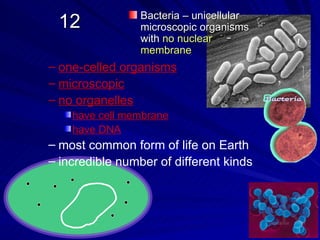 Bacteria – unicellular
 12              microscopic organisms
                 with no nuclear
                 membrane
– one-celled organisms
– microscopic
– no organelles
    have cell membrane
    have DNA
– most common form of life on Earth
– incredible number of different kinds
 