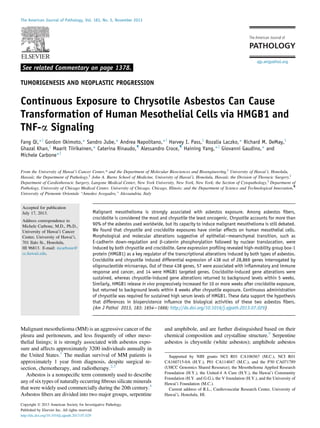 See related Commentary on page 1378.
TUMORIGENESIS AND NEOPLASTIC PROGRESSION
Continuous Exposure to Chrysotile Asbestos Can Cause
Transformation of Human Mesothelial Cells via HMGB1 and
TNF-a Signaling
Fang Qi,*y
Gordon Okimoto,* Sandro Jube,* Andrea Napolitano,*y
Harvey I. Pass,z
Rozalia Laczko,* Richard M. DeMay,x
Ghazal Khan,x
Maarit Tiirikainen,* Caterina Rinaudo,{
Alessandro Croce,{
Haining Yang,*k
Giovanni Gaudino,* and
Michele Carbone*k
From the University of Hawai’i Cancer Center,* and the Department of Molecular Biosciences and Bioengineering,y
University of Hawai’i, Honolulu,
Hawaii; the Department of Pathology,k
John A. Burns School of Medicine, University of Hawai’i, Honolulu, Hawaii; the Division of Thoracic Surgery,z
Department of Cardiothoracic Surgery, Langone Medical Center, New York University, New York, New York; the Section of Cytopathology,x
Department of
Pathology, University of Chicago Medical Center, University of Chicago, Chicago, Illinois; and the Department of Science and Technological Innovation,{
University of Piemonte Orientale “Amedeo Avogadro,” Alessandria, Italy
Accepted for publication
July 17, 2013.
Address correspondence to
Michele Carbone, M.D., Ph.D.,
University of Hawai’i Cancer
Center, University of Hawai’i,
701 Ilalo St., Honolulu,
HI 96813. E-mail: mcarbone@
cc.hawaii.edu.
Malignant mesothelioma is strongly associated with asbestos exposure. Among asbestos ﬁbers,
crocidolite is considered the most and chrysotile the least oncogenic. Chrysotile accounts for more than
90% of the asbestos used worldwide, but its capacity to induce malignant mesothelioma is still debated.
We found that chrysotile and crocidolite exposures have similar effects on human mesothelial cells.
Morphological and molecular alterations suggestive of epithelialemesenchymal transition, such as
E-cadherin down-regulation and b-catenin phosphorylation followed by nuclear translocation, were
induced by both chrysotile and crocidolite. Gene expression proﬁling revealed high-mobility group box-1
protein (HMGB1) as a key regulator of the transcriptional alterations induced by both types of asbestos.
Crocidolite and chrysotile induced differential expression of 438 out of 28,869 genes interrogated by
oligonucleotide microarrays. Out of these 438 genes, 57 were associated with inﬂammatory and immune
response and cancer, and 14 were HMGB1 targeted genes. Crocidolite-induced gene alterations were
sustained, whereas chrysotile-induced gene alterations returned to background levels within 5 weeks.
Similarly, HMGB1 release in vivo progressively increased for 10 or more weeks after crocidolite exposure,
but returned to background levels within 8 weeks after chrysotile exposure. Continuous administration
of chrysotile was required for sustained high serum levels of HMGB1. These data support the hypothesis
that differences in biopersistence inﬂuence the biological activities of these two asbestos ﬁbers.
(Am J Pathol 2013, 183: 1654e1666; http://dx.doi.org/10.1016/j.ajpath.2013.07.029)
Malignant mesothelioma (MM) is an aggressive cancer of the
pleura and peritoneum, and less frequently of other meso-
thelial linings; it is strongly associated with asbestos expo-
sure and affects approximately 3200 individuals annually in
the United States.1
The median survival of MM patients is
approximately 1 year from diagnosis, despite surgical re-
section, chemotherapy, and radiotherapy.2,3
Asbestos is a nonspeciﬁc term commonly used to describe
any of six types of naturally occurring ﬁbrous silicate minerals
that were widely used commercially during the 20th century.4
Asbestos ﬁbers are divided into two major groups, serpentine
and amphibole, and are further distinguished based on their
chemical composition and crystalline structure.5
Serpentine
asbestos is chrysotile (white asbestos); amphibole asbestos
Supported by NIH grants NCI R01 CA106567 (M.C.), NCI R01
CA160715-0A (H.Y.), P01 CA114047 (M.C.), and the P30 CA071789
(UHCC Genomics Shared Resource); the Mesothelioma Applied Research
Foundation (H.Y.), the United-4 A Cure (H.Y.), the Hawai’i Community
Foundation (H.Y. and G.G.), the V foundation (H.Y.), and the University of
Hawai’i Foundation (M.C.).
Current address of R.L., Cardiovascular Research Center, University of
Hawai’i, Honolulu, HI.
Copyright ª 2013 American Society for Investigative Pathology.
Published by Elsevier Inc. All rights reserved.
http://dx.doi.org/10.1016/j.ajpath.2013.07.029
ajp.amjpathol.org
The American Journal of Pathology, Vol. 183, No. 5, November 2013
 