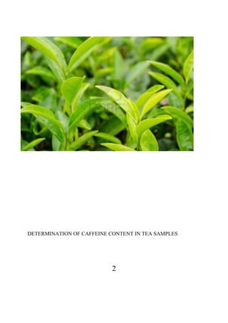 2
DETERMINATION OF CAFFEINE CONTENT IN TEA SAMPLES
 