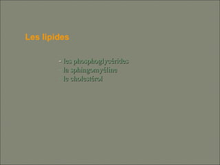 -- les phosphoglycéridesles phosphoglycérides
- la sphingomyélinela sphingomyéline
- le cholestérolle cholestérol
Les lipides
 