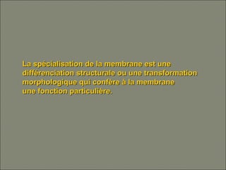 La spécialisation de la membrane est uneLa spécialisation de la membrane est une
différenciation structurale ou une transformationdifférenciation structurale ou une transformation
morphologique qui confère à la membranemorphologique qui confère à la membrane
une fonction particulière.une fonction particulière.
 
