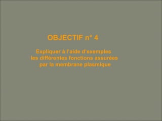 OBJECTIF n° 4
Expliquer à l’aide d’exemples
les différentes fonctions assurées
par la membrane plasmique
 