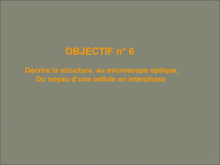 OBJECTIF n° 6
Décrire la structure, au microscope optique,
Du noyau d’une cellule en interphase
 