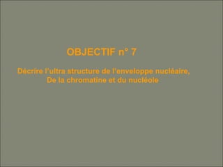 OBJECTIF n° 7
Décrire l’ultra structure de l’enveloppe nucléaire,
De la chromatine et du nucléole
 