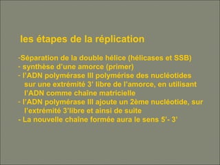 les étapes de la réplication
-Séparation de la double hélice (hélicases et SSB)
- synthèse d’une amorce (primer)
- l’ADN polymérase III polymérise des nucléotides
sur une extrémité 3’ libre de l’amorce, en utilisant
l’ADN comme chaîne matricielle
- l’ADN polymérase III ajoute un 2ème nucléotide, sur
l’extrémité 3’libre et ainsi de suite
- La nouvelle chaîne formée aura le sens 5’- 3’
 