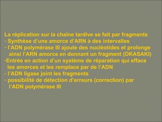 La réplication sur la chaîne tardive se fait par fragments
- Synthèse d’une amorce d’ARN à des intervalles
- l’ADN polymérase III ajoute des nucléotides et prolonge
ainsi l’ARN amorce en donnant un fragment (OKASAKI)
-Entrée en action d’un système de réparation qui efface
les amorces et les remplace par de l’ADN
- l’ADN ligase joint les fragments
- possibilité de détection d’erreurs (correction) par
l’ADN polymérase III
 