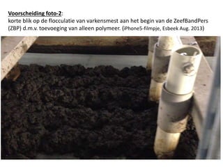 Voorscheiding foto-2:
korte blik op de flocculatie van varkensmest aan het begin van de ZeefBandPers
(ZBP) d.m.v. toevoeging van alleen polymeer. (iPhone5-filmpje, Esbeek Aug. 2013)
 