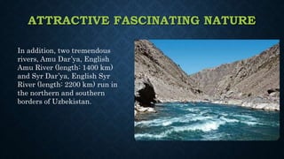 ATTRACTIVE FASCINATING NATURE
In addition, two tremendous
rivers, Amu Dar’ya, English
Amu River (length: 1400 km)
and Syr Dar’ya, English Syr
River (length: 2200 km) run in
the northern and southern
borders of Uzbekistan.
 