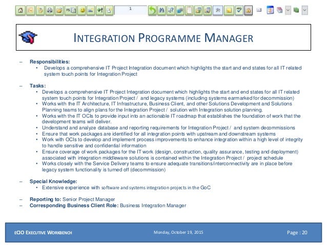 eCIO PPT Roles for a SAP and Systems Integration Project