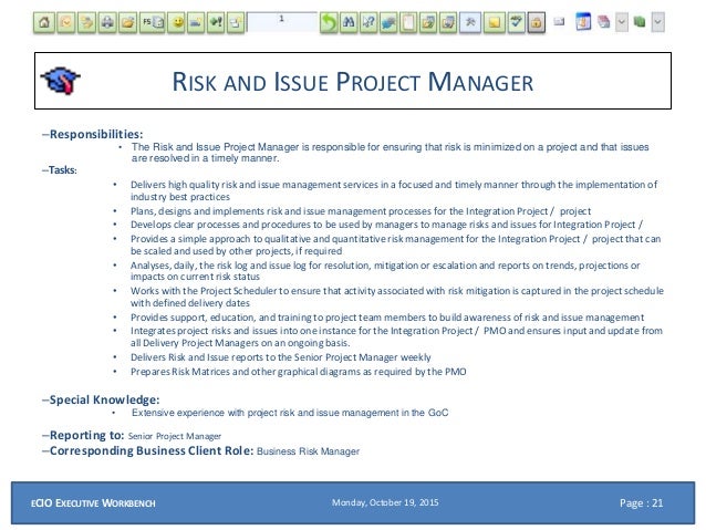 ecio ppt roles for a sap and systems integration project sap project manager
