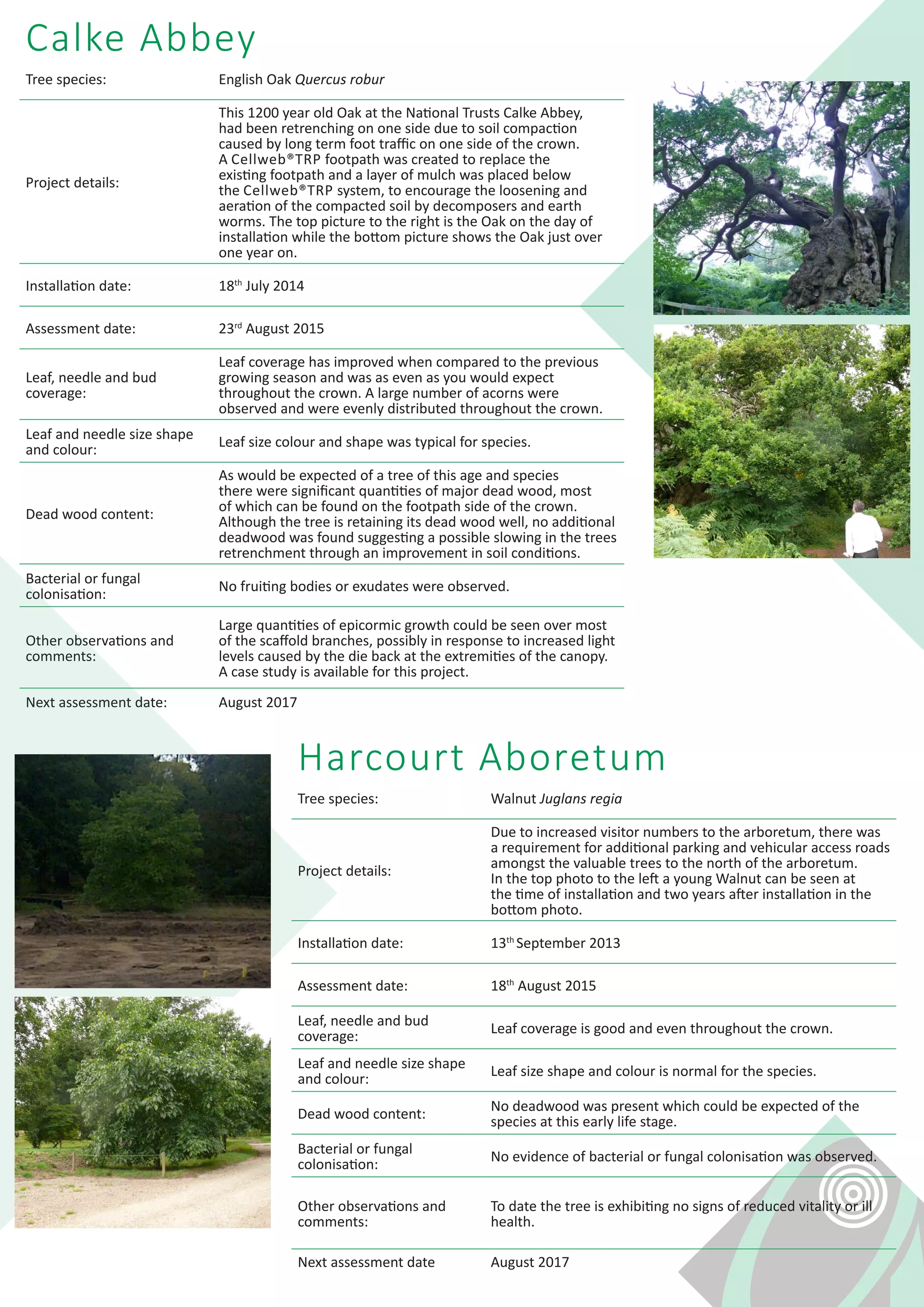 Cellweb TRP - Tree Vitality Observations | PDF