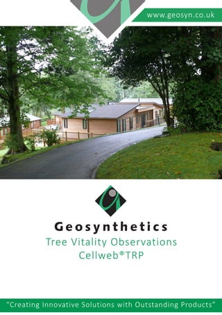 www.geosyn.co.uk
Tree Vitality Observations
Cellweb®TRP
“Creating Innovative Solutions with Outstanding Products”
 