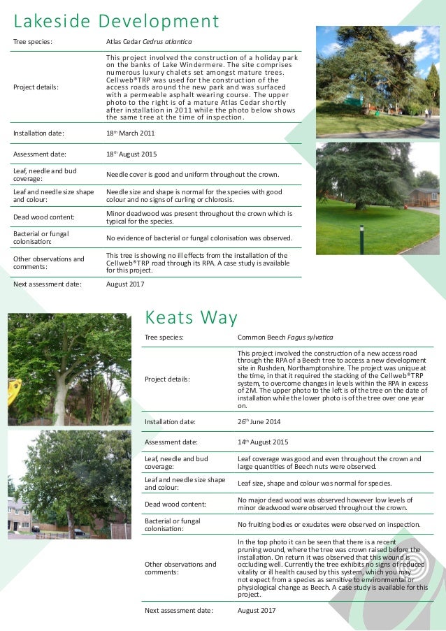Cellweb TRP Tree Vitality Observations
