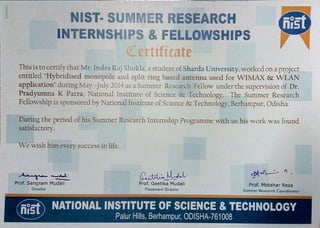 Summer Research Fellowship