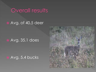  Avg. of 40.5 deer
 Avg. 35.1 does
 Avg. 5.4 bucks
 