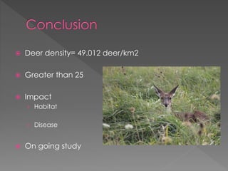  Deer density= 49.012 deer/km2
 Greater than 25
 Impact
› Habitat
› Disease
 On going study
 