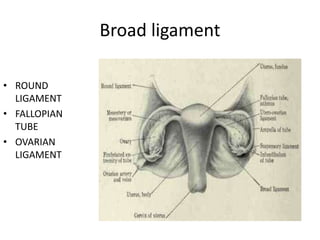 Broad ligament
• ROUND
LIGAMENT
• FALLOPIAN
TUBE
• OVARIAN
LIGAMENT
 
