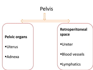 Pelvis
Retroperitoneal
space
Ureter
Blood vessels
Lymphatics
Pelvic organs
Uterus
Adnexa
 