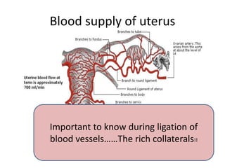 Blood supply of uterus
Important to know during ligation of
blood vessels……The rich collaterals!!
 