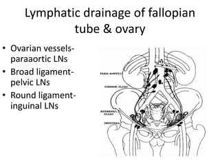 Lymphatic drainage of fallopian
tube & ovary
• Ovarian vessels-
paraaortic LNs
• Broad ligament-
pelvic LNs
• Round ligament-
inguinal LNs
 