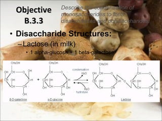 Objective B.3.3 Disaccharide Structures: Lactose (in milk) 1 alpha-glucose + 1 beta-galactose Describe the condensation of monosaccharides to form disaccharides and polysaccharides. 