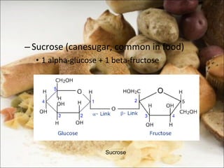Sucrose (canesugar, common in food) 1 alpha-glucose + 1 beta-fructose Sucrose 