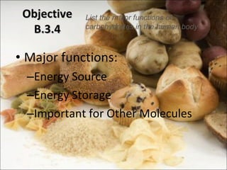 Objective B.3.4 Major functions: Energy Source Energy Storage Important for Other Molecules List the major functions of carbohydrates in the human body 