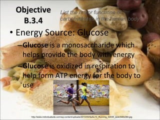 Objective B.3.4 Energy Source: Glucose Glucose  is a monosaccharide which helps provide the body with energy Glucose  is oxidized in respiration to help form ATP energy for the body to use List the major functions of carbohydrates in the human body http://www.individualsole.com/wp-content/uploads/2010/05/SpSu10_Running_02035_ipod-540x360.jpg 