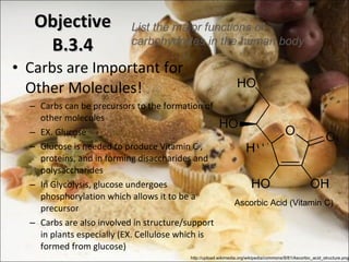 Objective B.3.4 Carbs are Important for Other Molecules! Carbs can be precursors to the formation of other molecules EX. Glucose Glucose is needed to produce Vitamin C , proteins, and in forming disaccharides and polysaccharides In Glycolysis, glucose undergoes phosphorylation which allows it to be a precursor Carbs are also involved in structure/support in plants especially (EX. Cellulose which is formed from glucose) List the major functions of carbohydrates in the human body http://upload.wikimedia.org/wikipedia/commons/8/81/Ascorbic_acid_structure.png Ascorbic Acid (Vitamin C) 