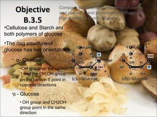 Objective B.3.5 Compare the structural properties of starch and cellulose, and explain why humans can digest starch but not cellulose.  Cellulose and Starch are both polymers of glucose The ring structure of glucose has two orientations α - Glucose OH group on the carbon 1 and the CH 2 OH group on the carbon 5 point in opposite directions β  - Glucose OH group and  CH2OH group point in the same direction 