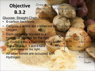Objective B.3.2 Glucose: Straight-Chain Formula 6-carbon backbone Carbons 1 and 5 are connected by Oxygen Each carbon is bonded to a hydroxide (except for the 5th) Carbon 3 has a hydroxide on the left Carbons 2, 4, 5 and 6 have hydroxides on the right All other bonds are occupied with Hydrogen Draw the straight-chain and ring structural formulas of glucose and fructose 