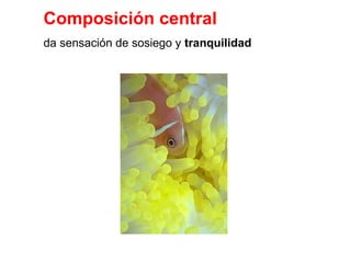 Composición central
da sensación de sosiego y tranquilidad
 