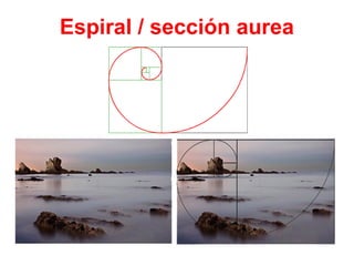 Espiral / sección aurea
 