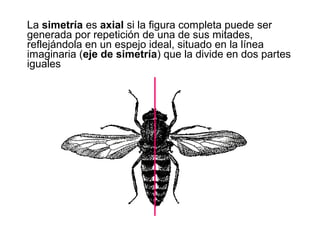 B3 composición