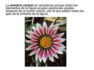 La simetría radial se caracteriza porque todos los
elementos de la figura ocupan posiciones iguales
respecto de un punto común, por el que pasan todos los
ejes de la simetría de la figura.
 