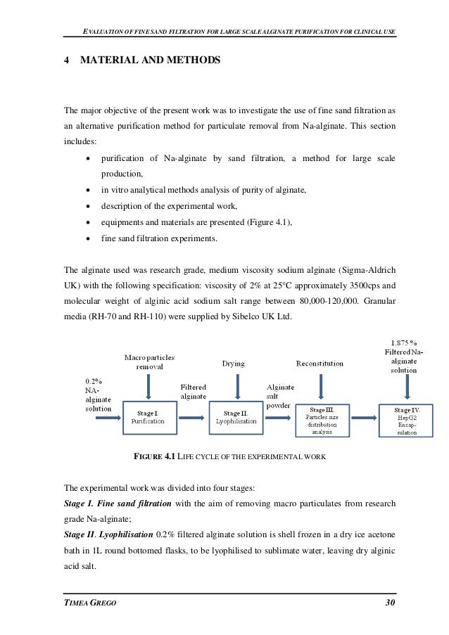 Msc dissertation or thesis
