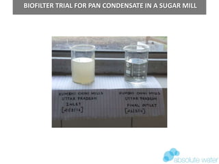 BIOFILTER TRIAL FOR PAN CONDENSATE IN A SUGAR MILL
 