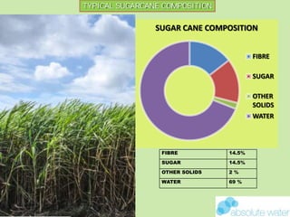 TYPICAL SUGARCANE COMPOSITION
SUGAR CANE COMPOSITION
FIBRE
SUGAR
OTHER
SOLIDS
WATER
FIBRE 14.5%
SUGAR 14.5%
OTHER SOLIDS 2 %
WATER 69 %
 