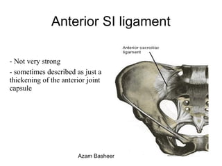 - Not very strong
- sometimes described as just a
thickening of the anterior joint
capsule
Anterior SI ligament
Azam Basheer
 