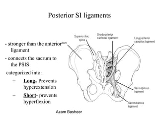 Posterior SI ligaments
- stronger than the anterior
ligament
- connects the sacrum to
the PSIS
categorized into:
– Long- Prevents
hyperextension
– Short- prevents
hyperflexion
Azam Basheer
 