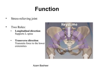 Function
• Stress-relieving joint
• Two Roles:
– Longitudinal direction:
Supports L-spine
– Transverse direction:
Transmits force to the lower
extremities
Azam Basheer
 