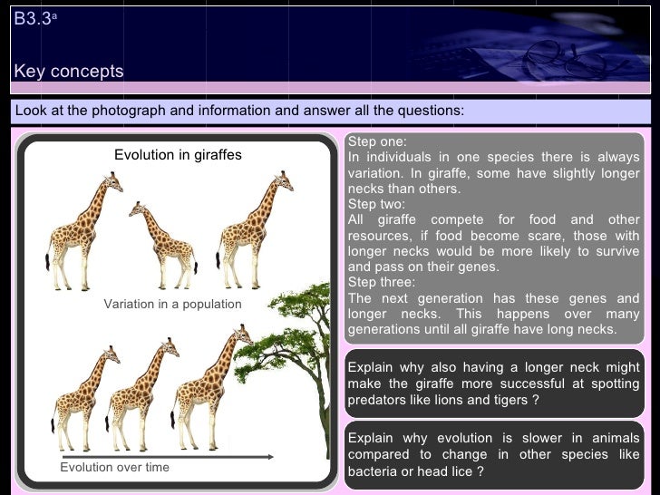 Characteristics Of Natural Selection Characteristics Of Natural Selection