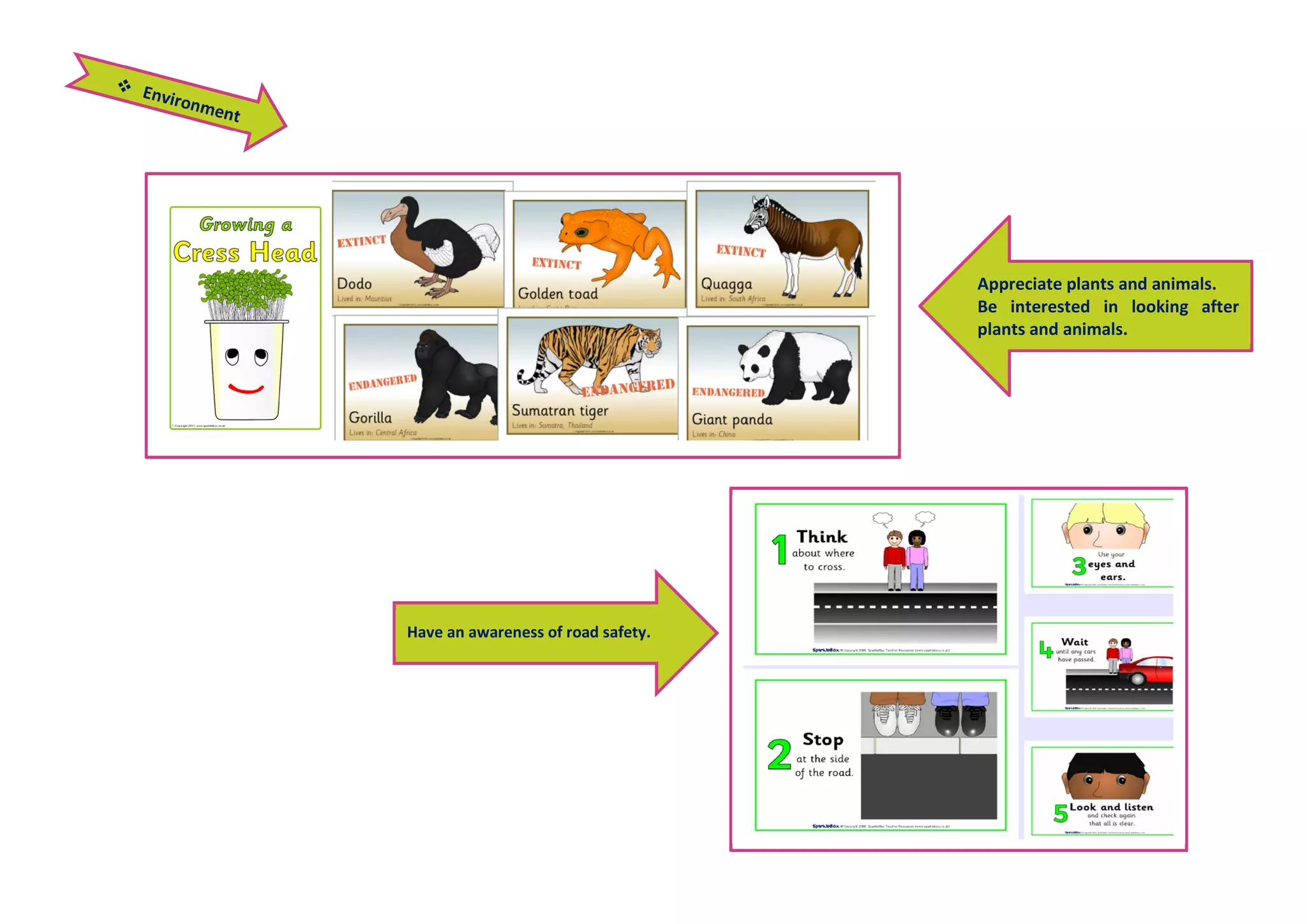 Have an awareness of road safety.
Appreciate plants and animals.
Be interested in looking after
plants and animals.
 