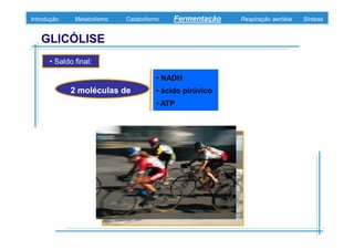 B 3.ObtençãO De Energia Unidade 3