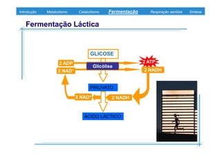 B 3.ObtençãO De Energia Unidade 3