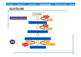 B 3.ObtençãO De Energia Unidade 3