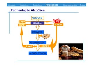 B 3.ObtençãO De Energia Unidade 3