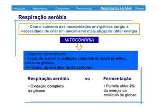 B 3.ObtençãO De Energia Unidade 3