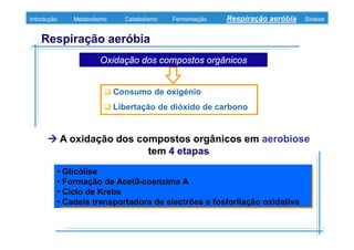 B 3.ObtençãO De Energia Unidade 3